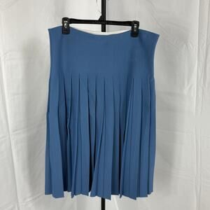 NWT Aleeza Paris Pleated Wonder Skirt In Azure Blue Size 4XL
